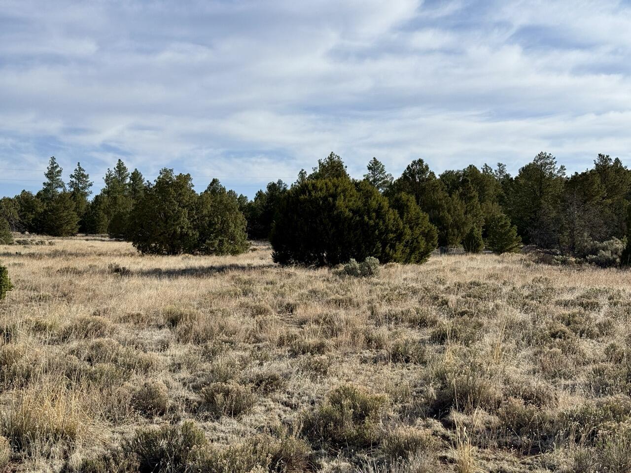 Lot 18 Buttonwood Drive, Ramah, New Mexico image 34