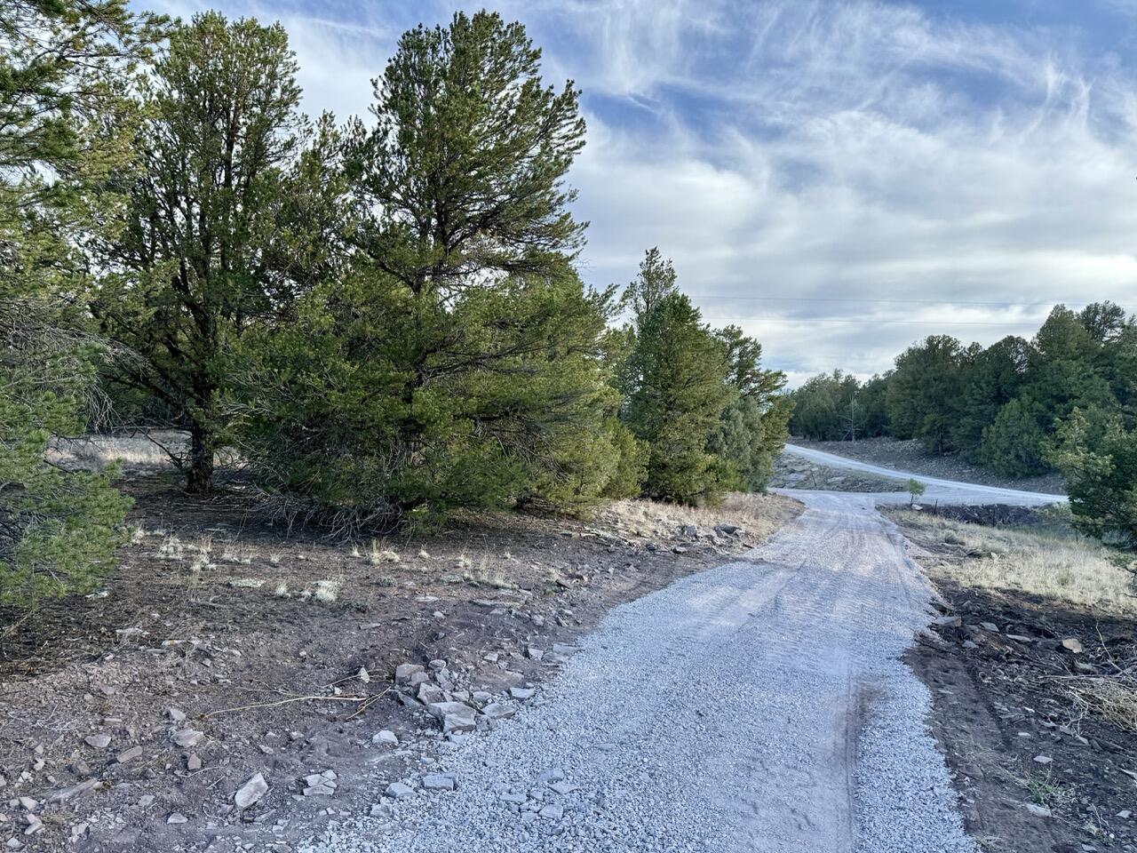 Lot 18 Buttonwood Drive, Ramah, New Mexico image 15