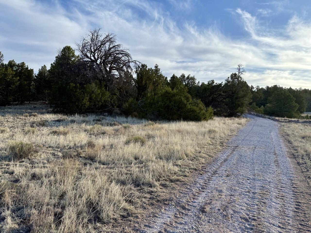 Lot 18 Buttonwood Drive, Ramah, New Mexico image 9