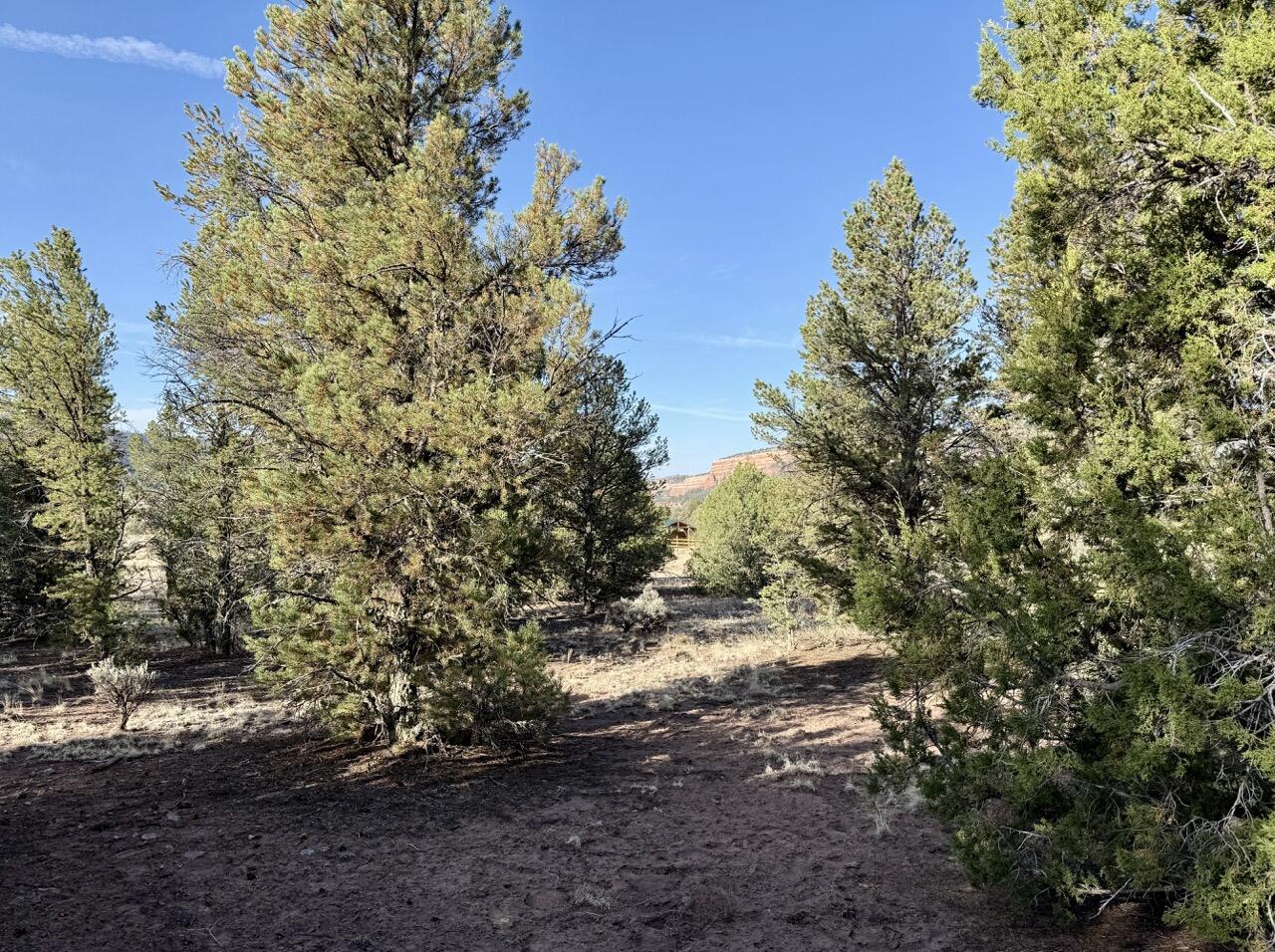 Lot 18 Buttonwood Drive, Ramah, New Mexico image 38