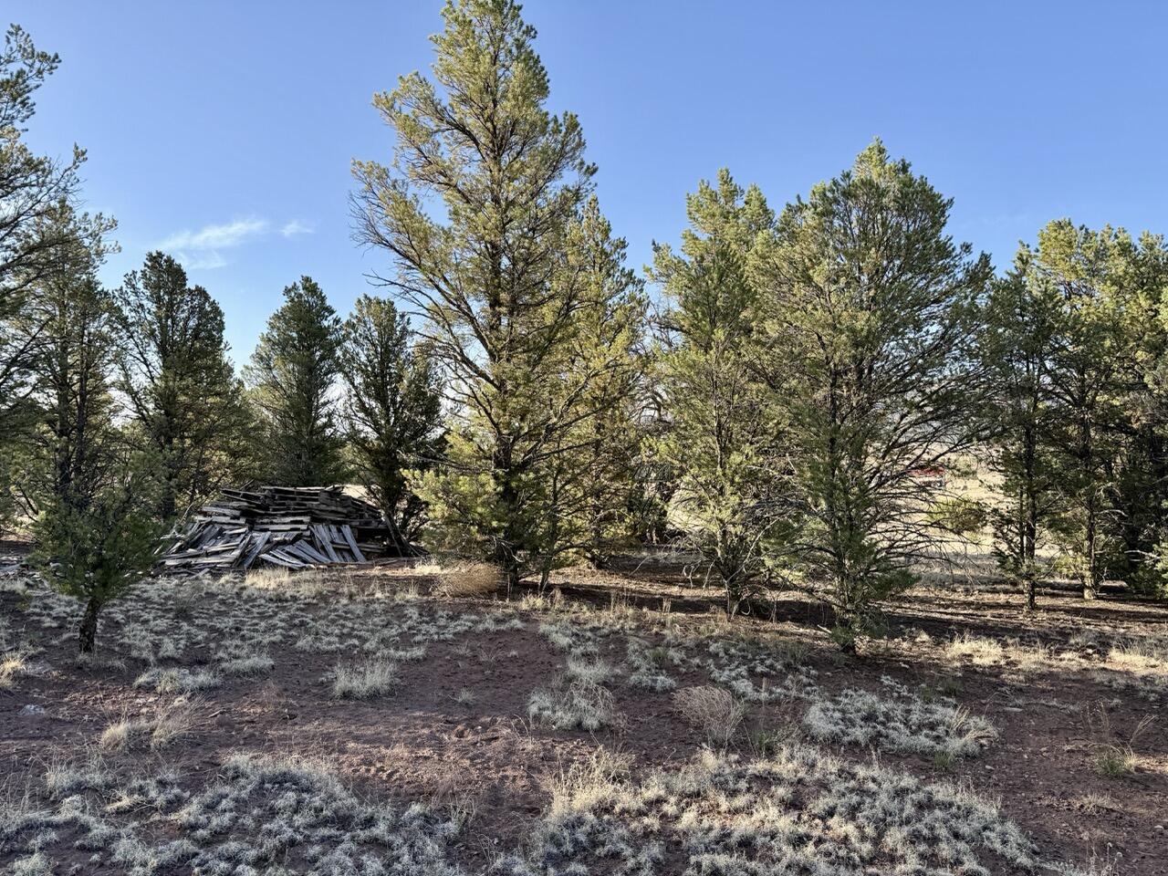 Lot 18 Buttonwood Drive, Ramah, New Mexico image 21