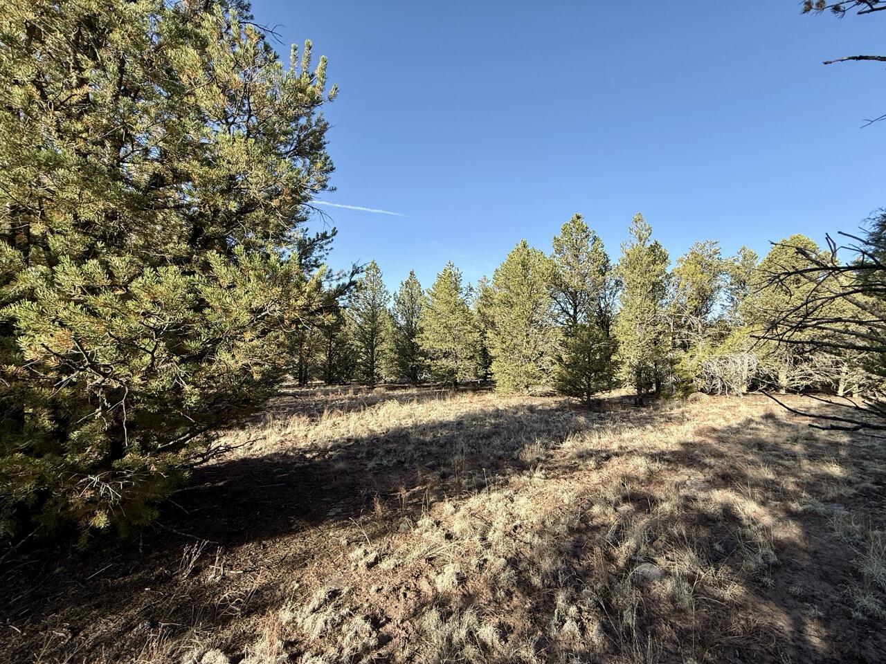 Lot 18 Buttonwood Drive, Ramah, New Mexico image 33