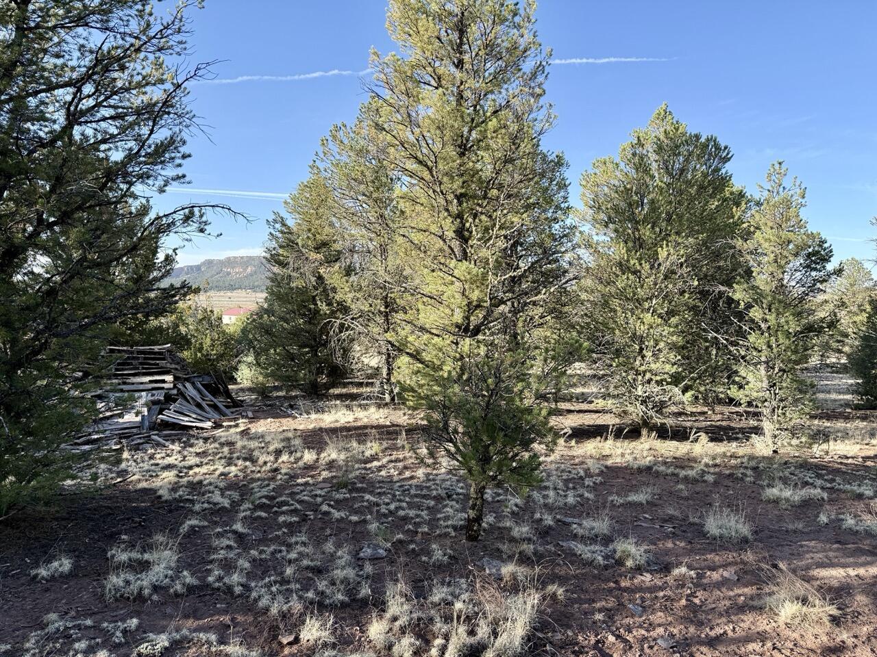 Lot 18 Buttonwood Drive, Ramah, New Mexico image 31