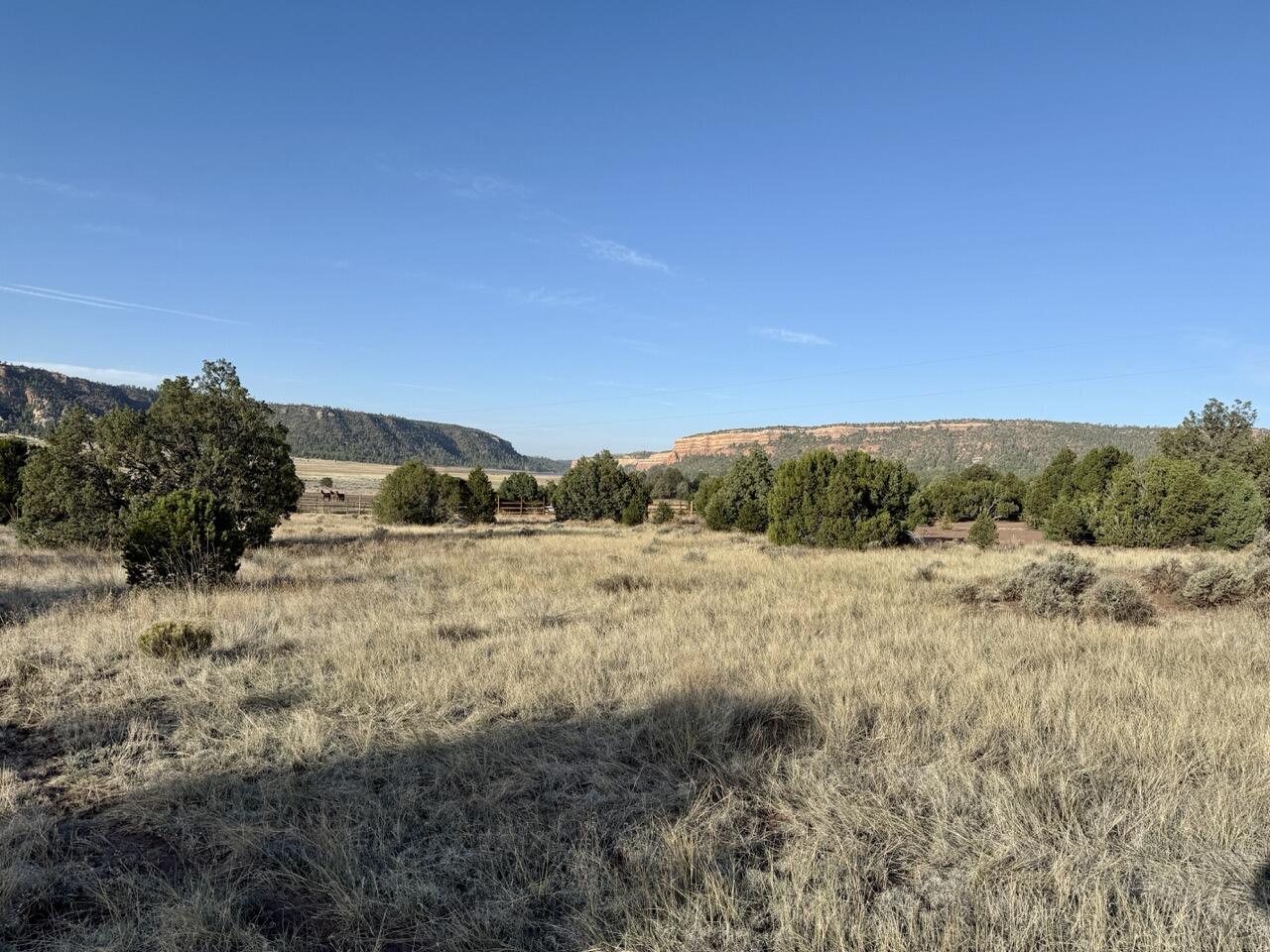 Lot 18 Buttonwood Drive, Ramah, New Mexico image 17