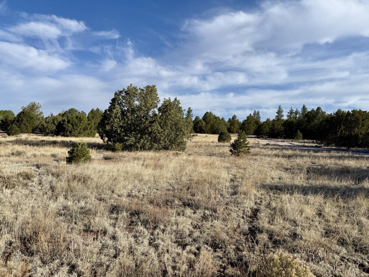 Lot 18 Buttonwood Drive, Ramah, New Mexico image 35