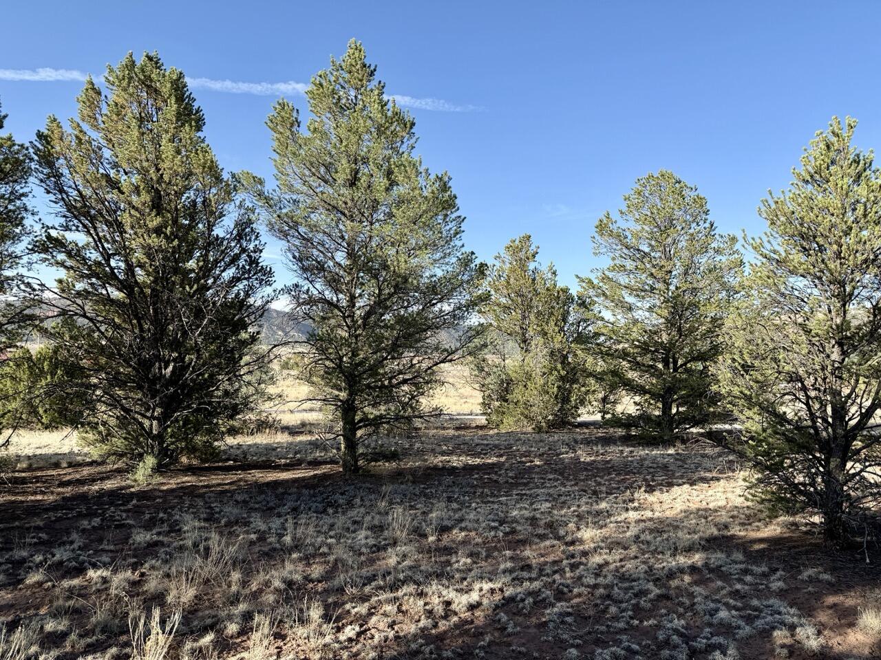 Lot 18 Buttonwood Drive, Ramah, New Mexico image 37