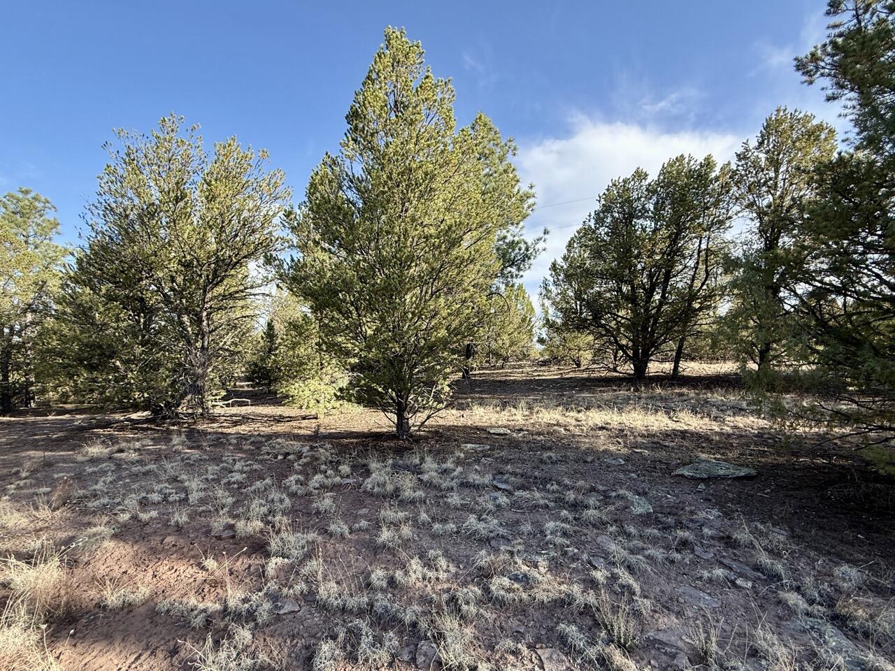 Lot 18 Buttonwood Drive, Ramah, New Mexico image 32