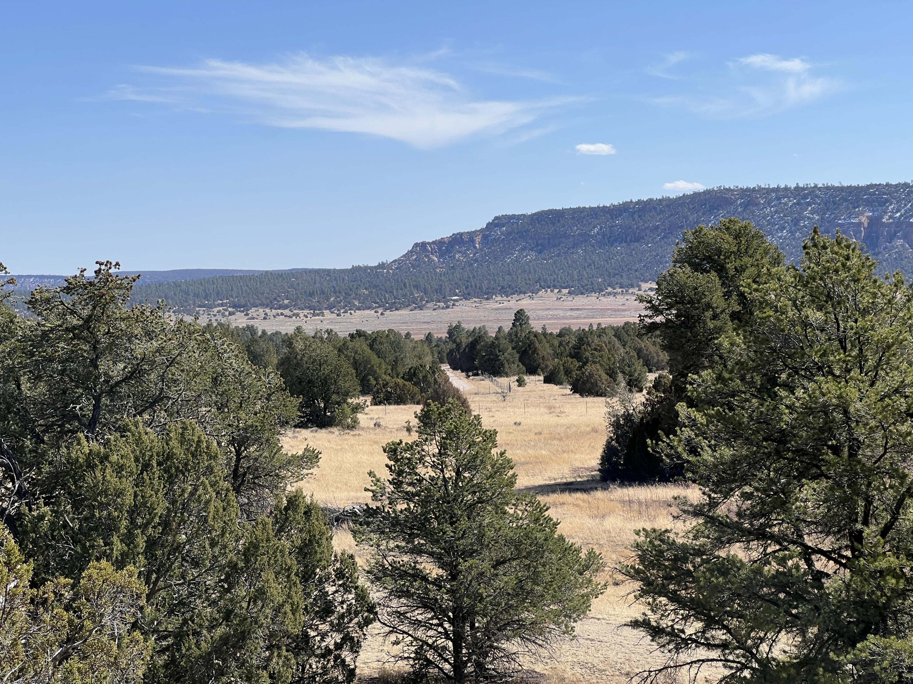 Lot 18 Buttonwood Drive, Ramah, New Mexico image 14