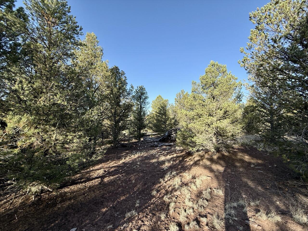 Lot 18 Buttonwood Drive, Ramah, New Mexico image 22