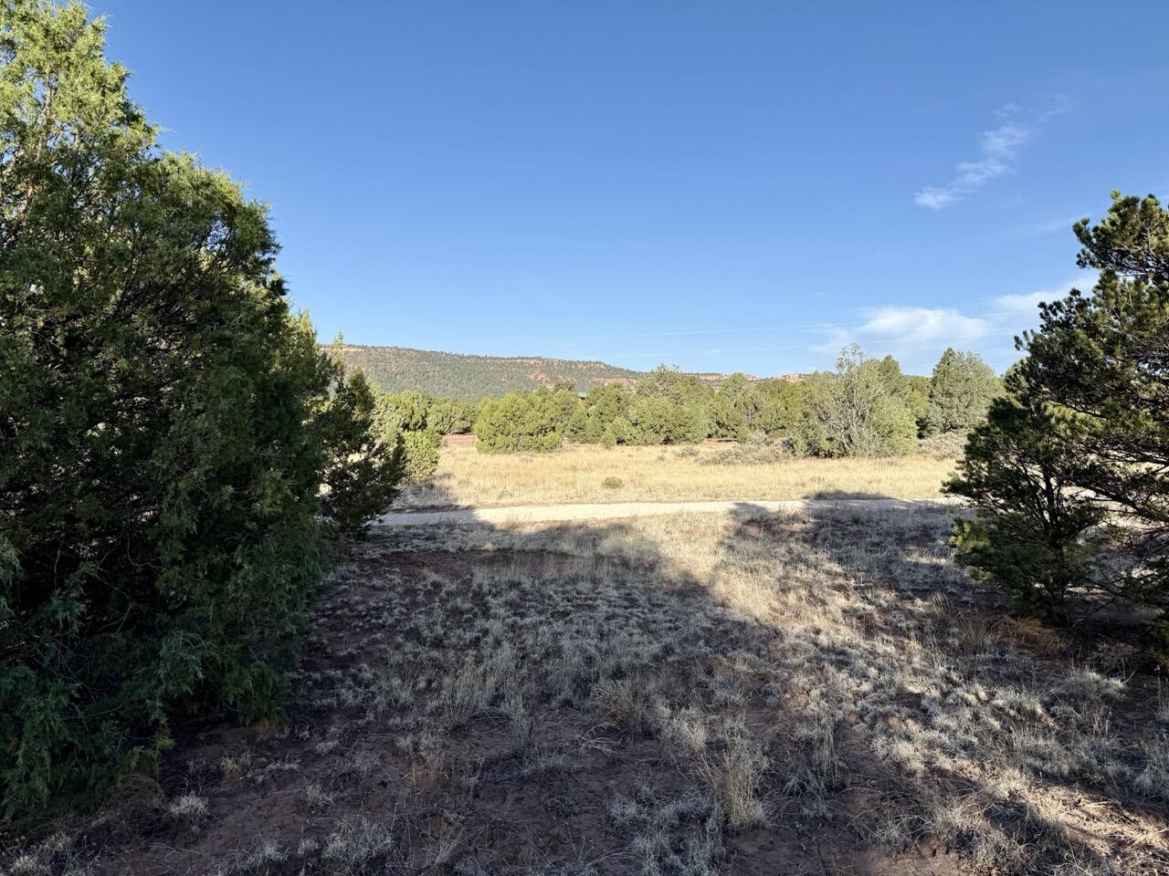 Lot 18 Buttonwood Drive, Ramah, New Mexico image 30