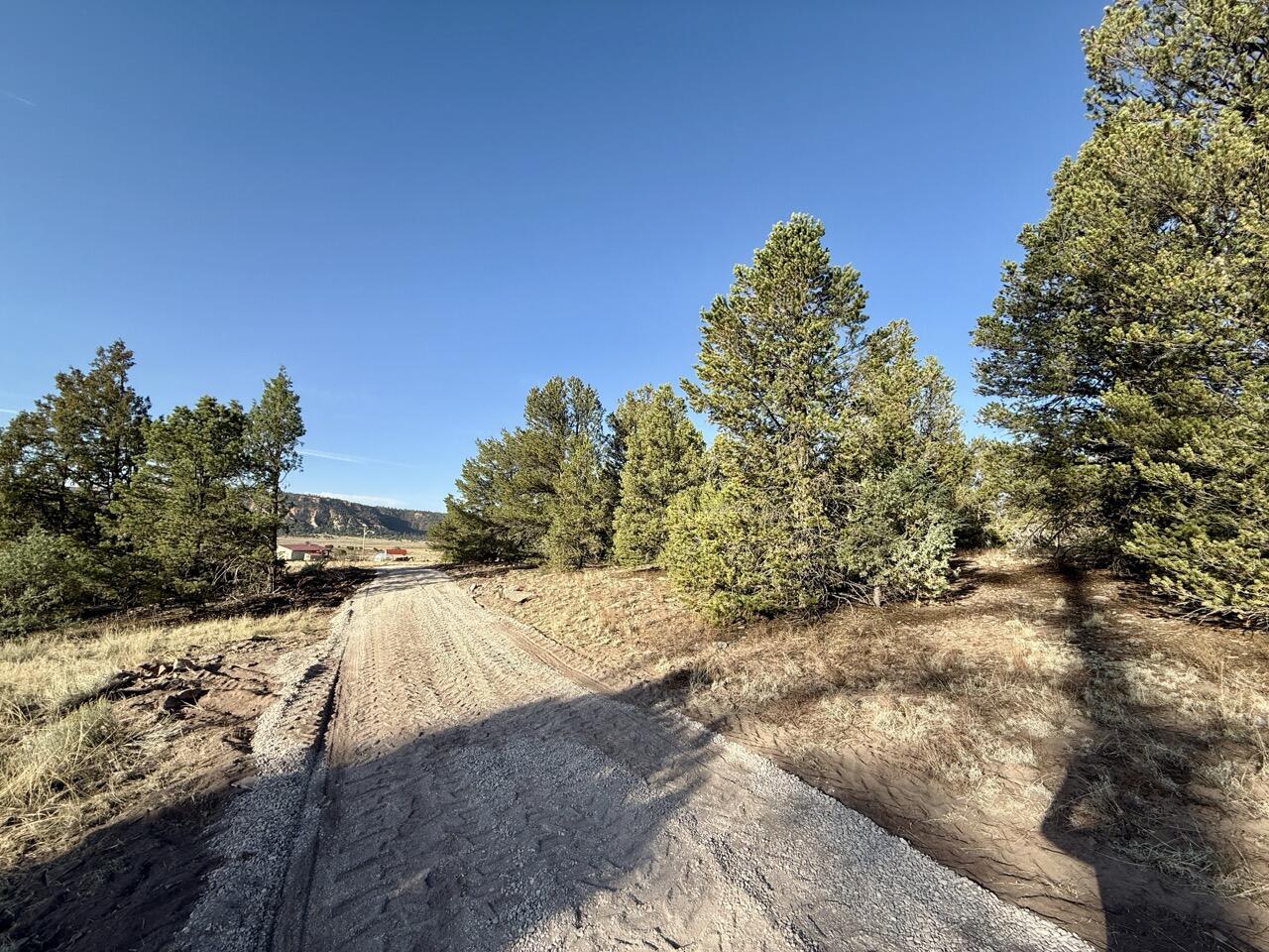 Lot 18 Buttonwood Drive, Ramah, New Mexico image 23