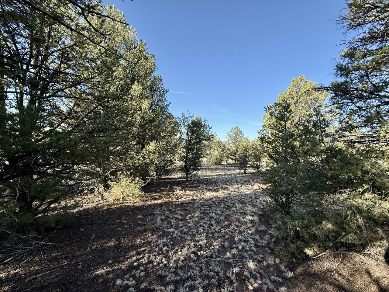 Lot 18 Buttonwood Drive, Ramah, New Mexico image 27