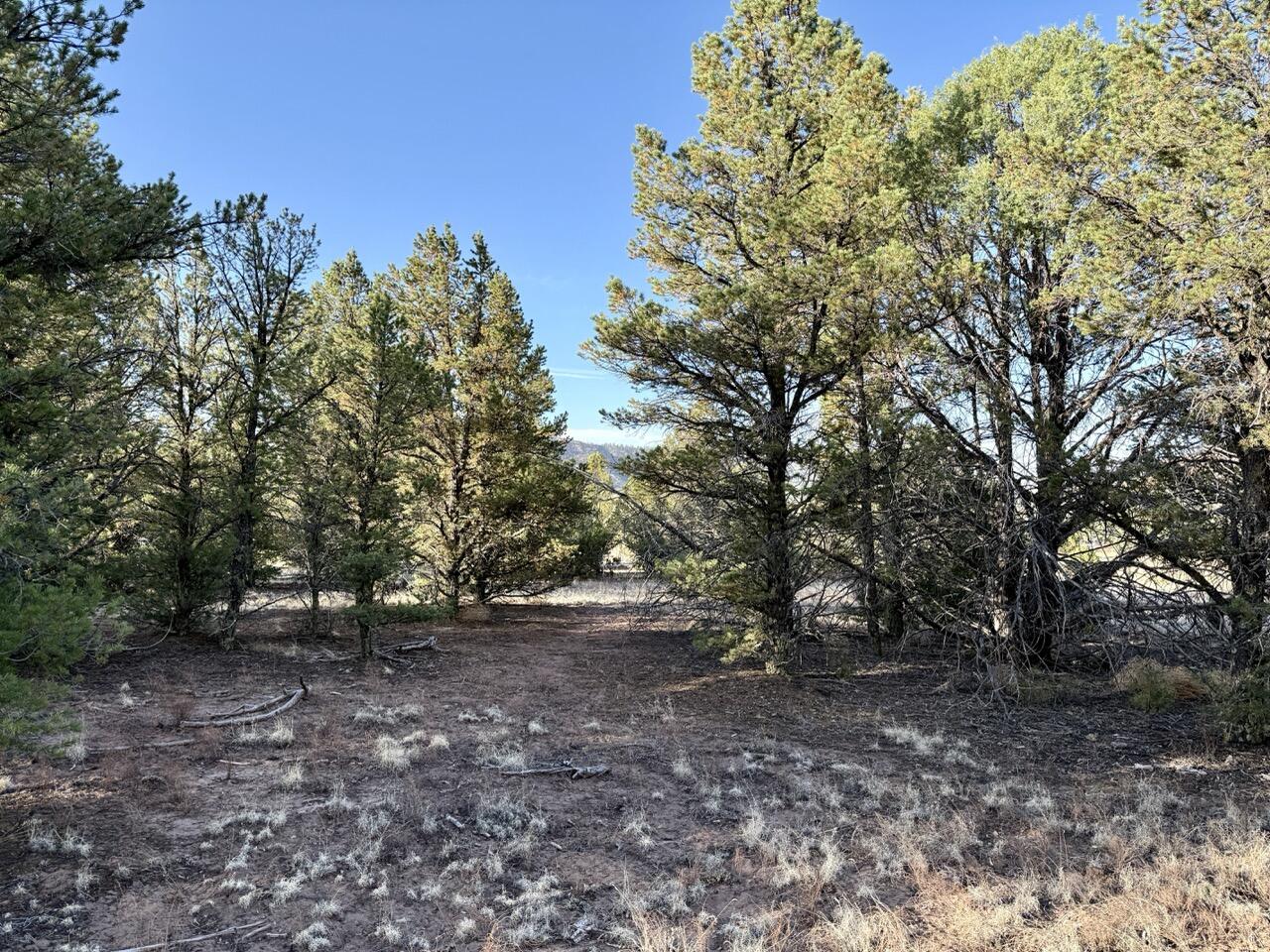 Lot 18 Buttonwood Drive, Ramah, New Mexico image 20