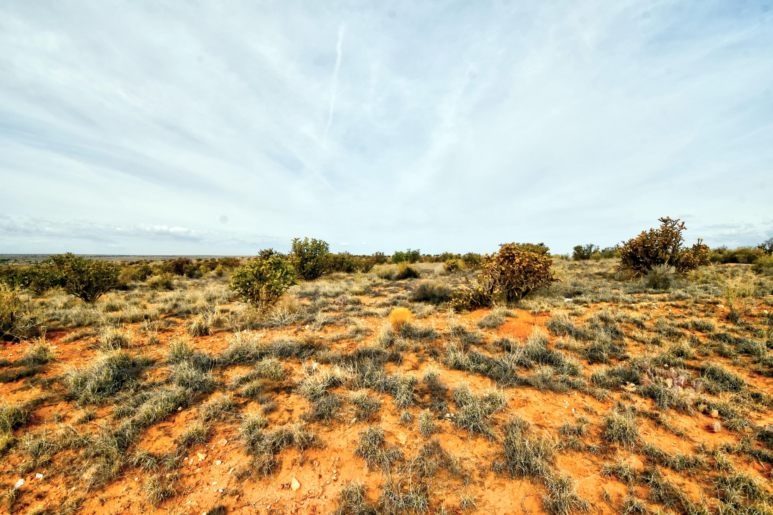 4513 Diane Street NE