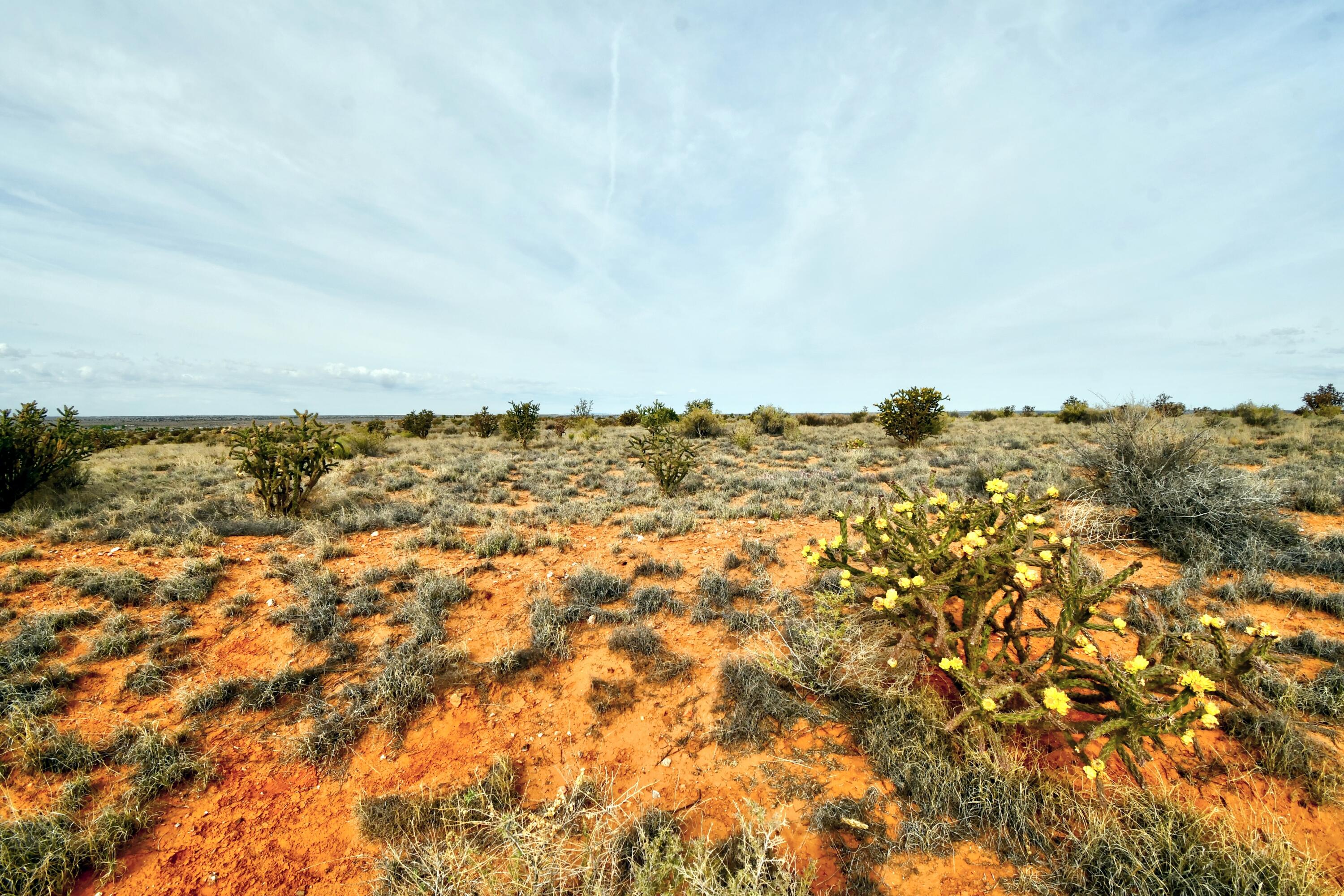 4513 Diane Street NE