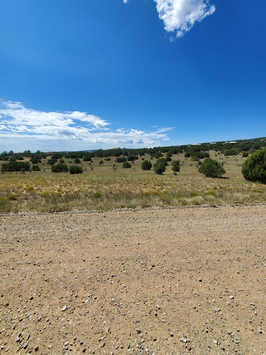 50 Joe Mae Road, Edgewood, New Mexico image 1