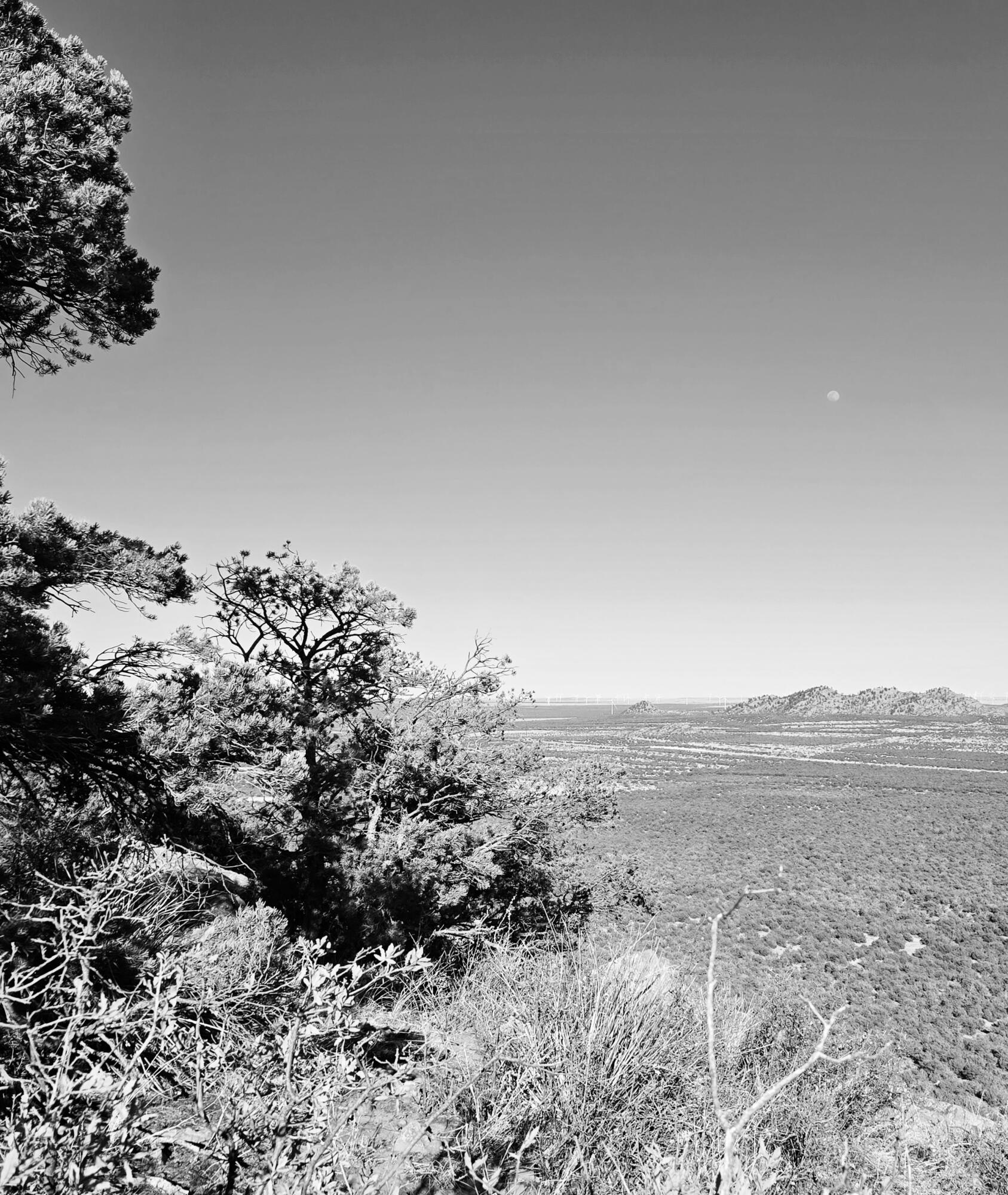 Lot 6 Crow Bait Trail, Corona, New Mexico image 12