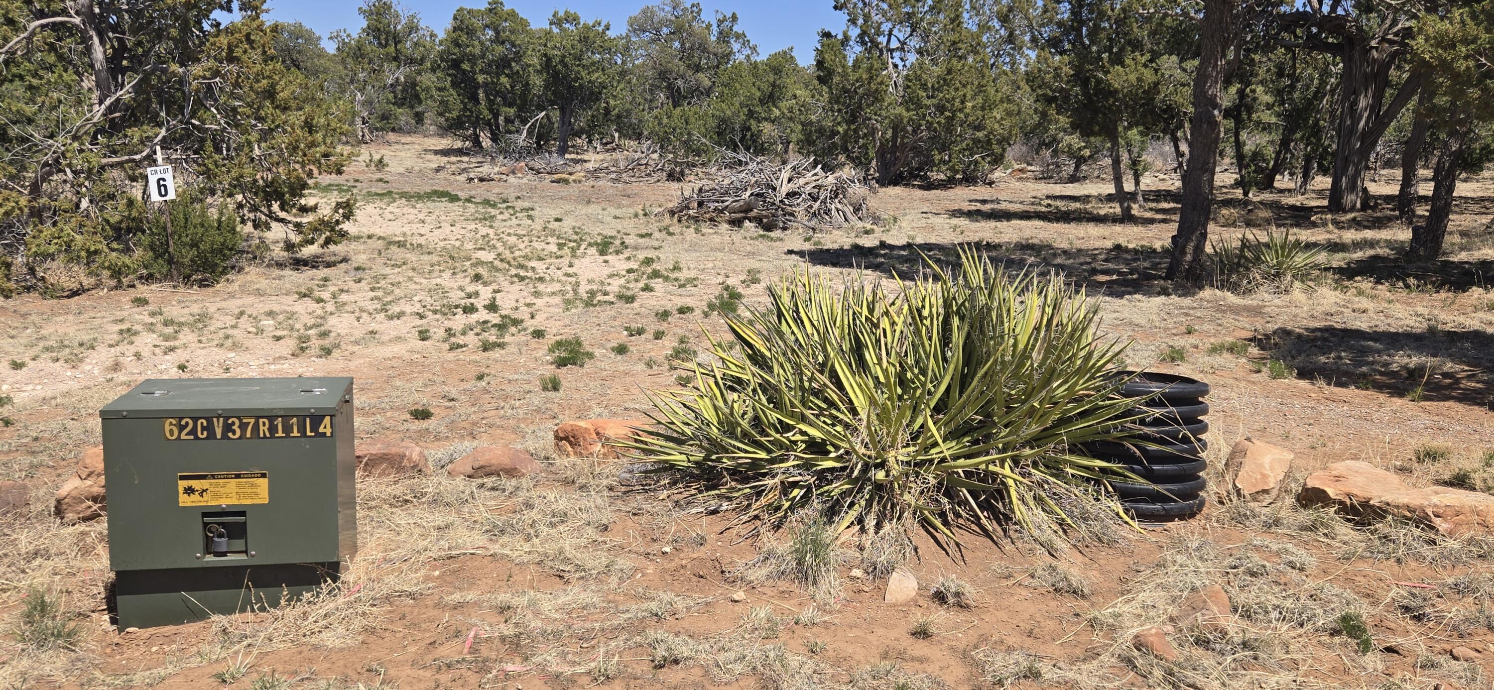 Lot 6 Crow Bait Trail, Corona, New Mexico image 8
