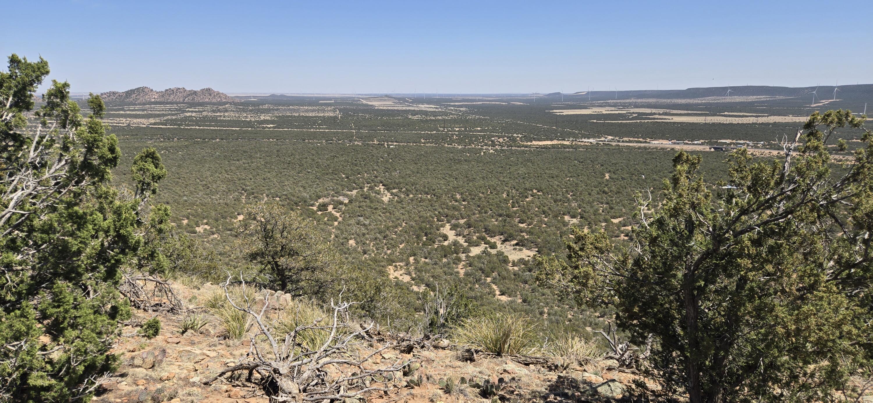 Lot 6 Crow Bait Trail, Corona, New Mexico image 3