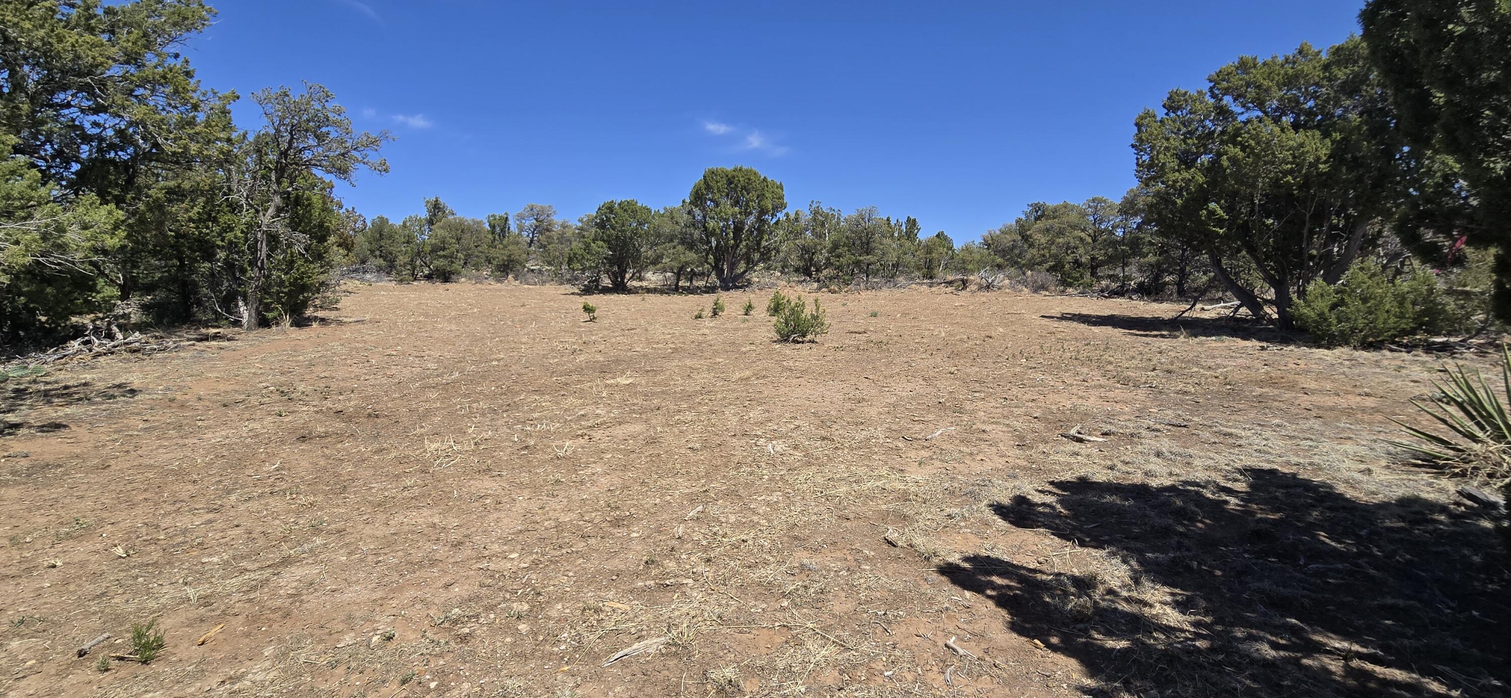 Lot 6 Crow Bait Trail, Corona, New Mexico image 5