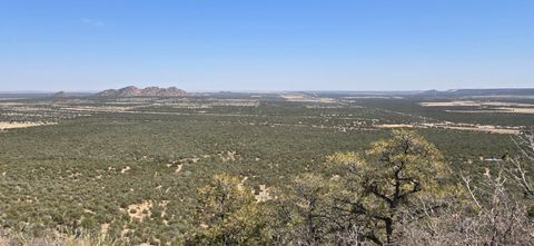 Vacant Land For Sale - LOT 6 Crow Bait Trail<br/> Corona, NM 88318