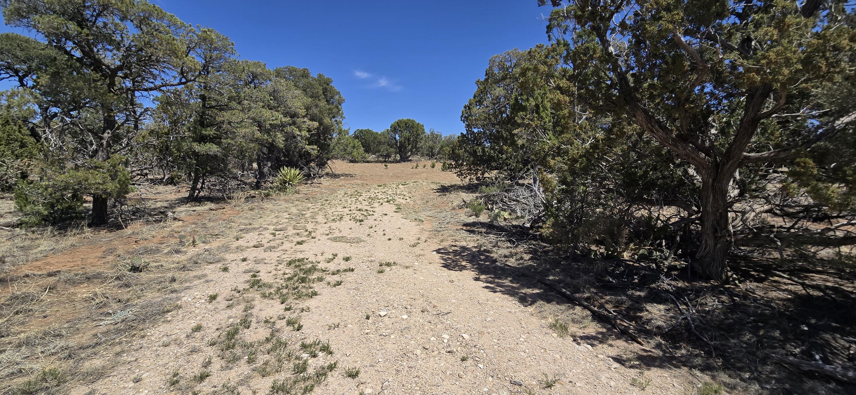 Lot 6 Crow Bait Trail, Corona, New Mexico image 9