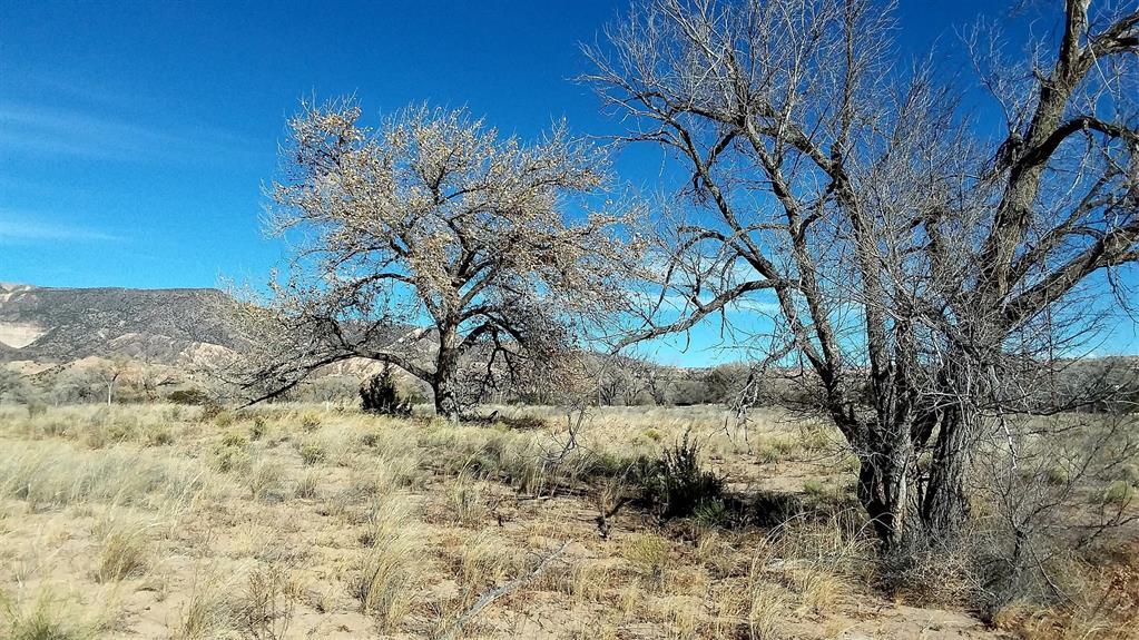 Lot 5 El Porvenir