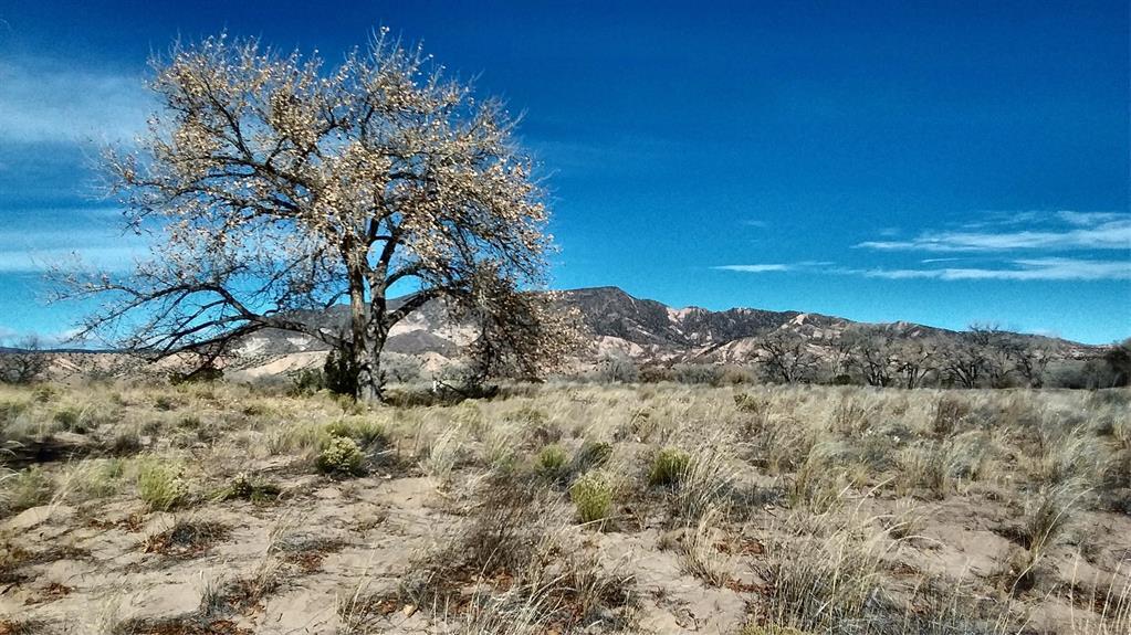 Lot 5 El Porvenir