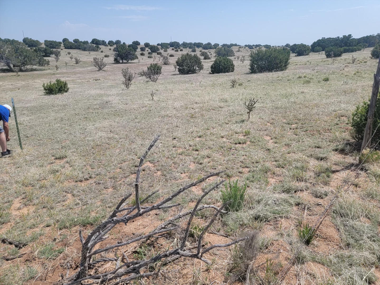 140 Brazos Loop, Estancia, New Mexico image 2