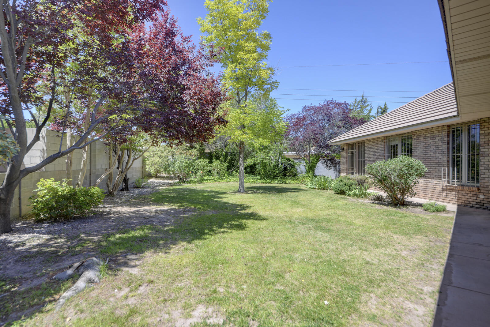 1025 Madison Street, Albuquerque, New Mexico image 41
