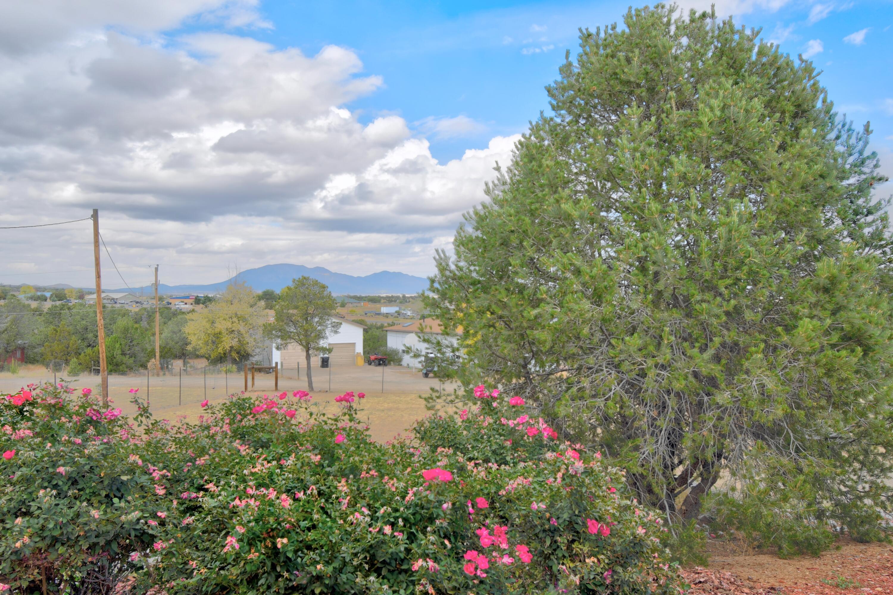 4 Derecho Lane, Edgewood, New Mexico image 3