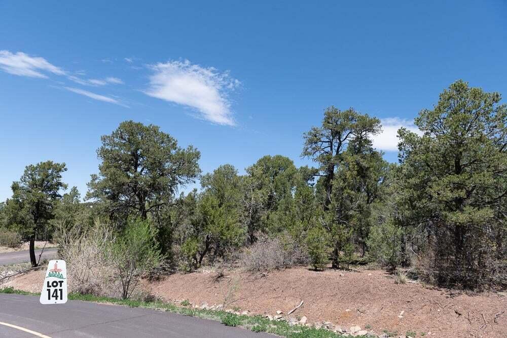 13 Los Pecos Trail, Tijeras, New Mexico image 5