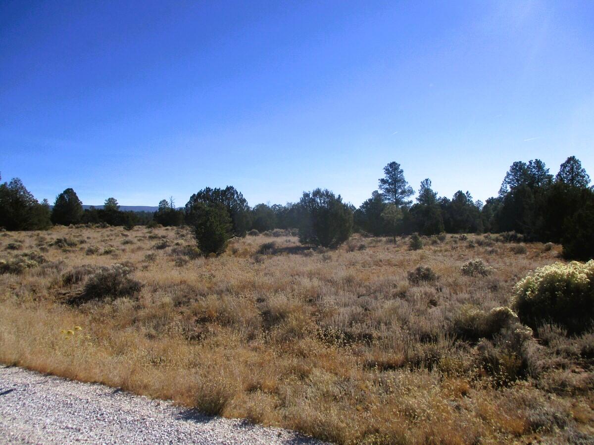 Lot 14 E Bobcat Drive, Ramah, New Mexico image 40