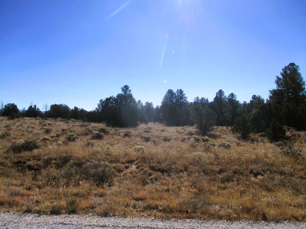 Lot 14 E Bobcat Drive, Ramah, New Mexico image 38