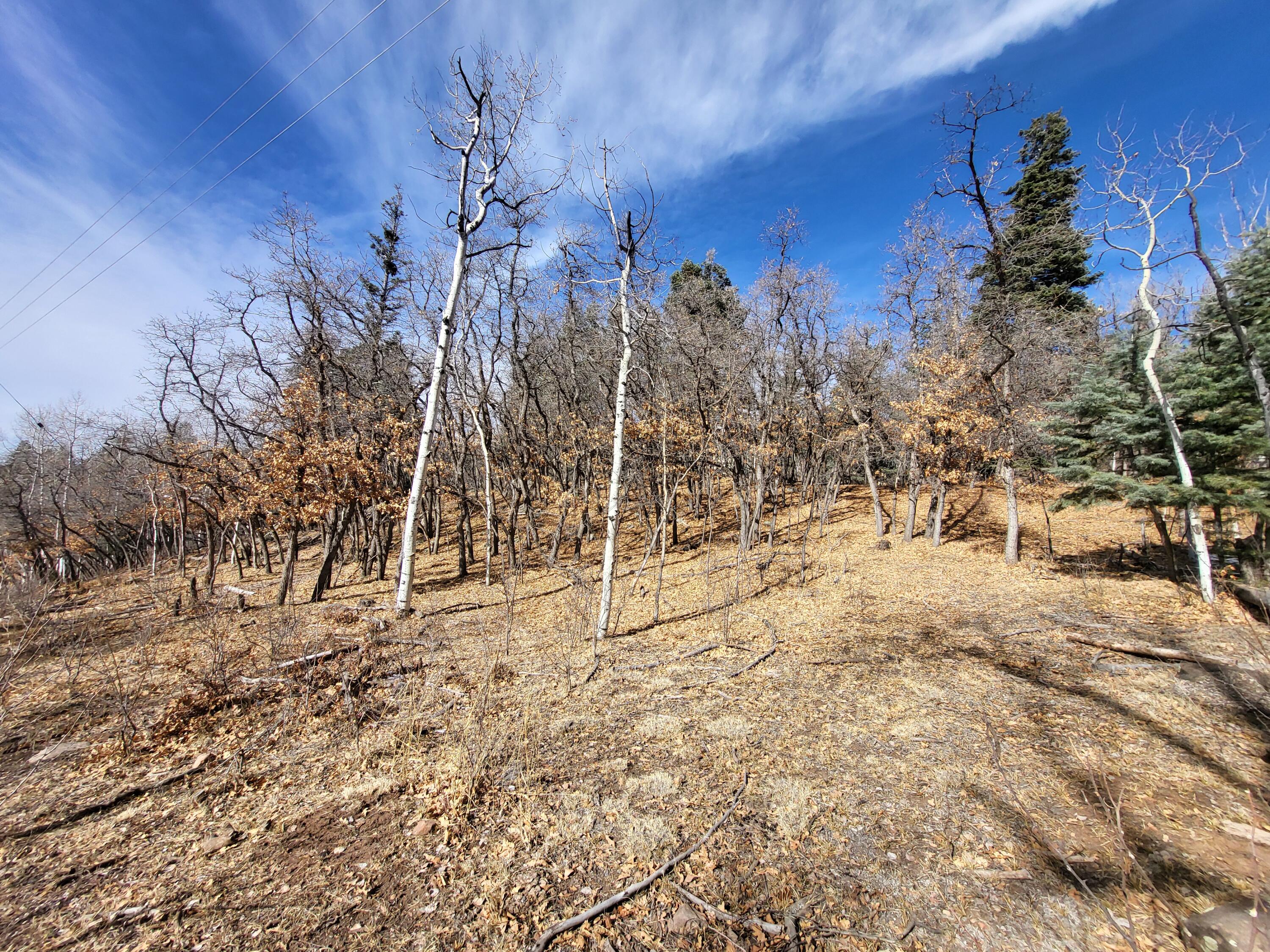 130 Aspen Road, Cuba, New Mexico image 27