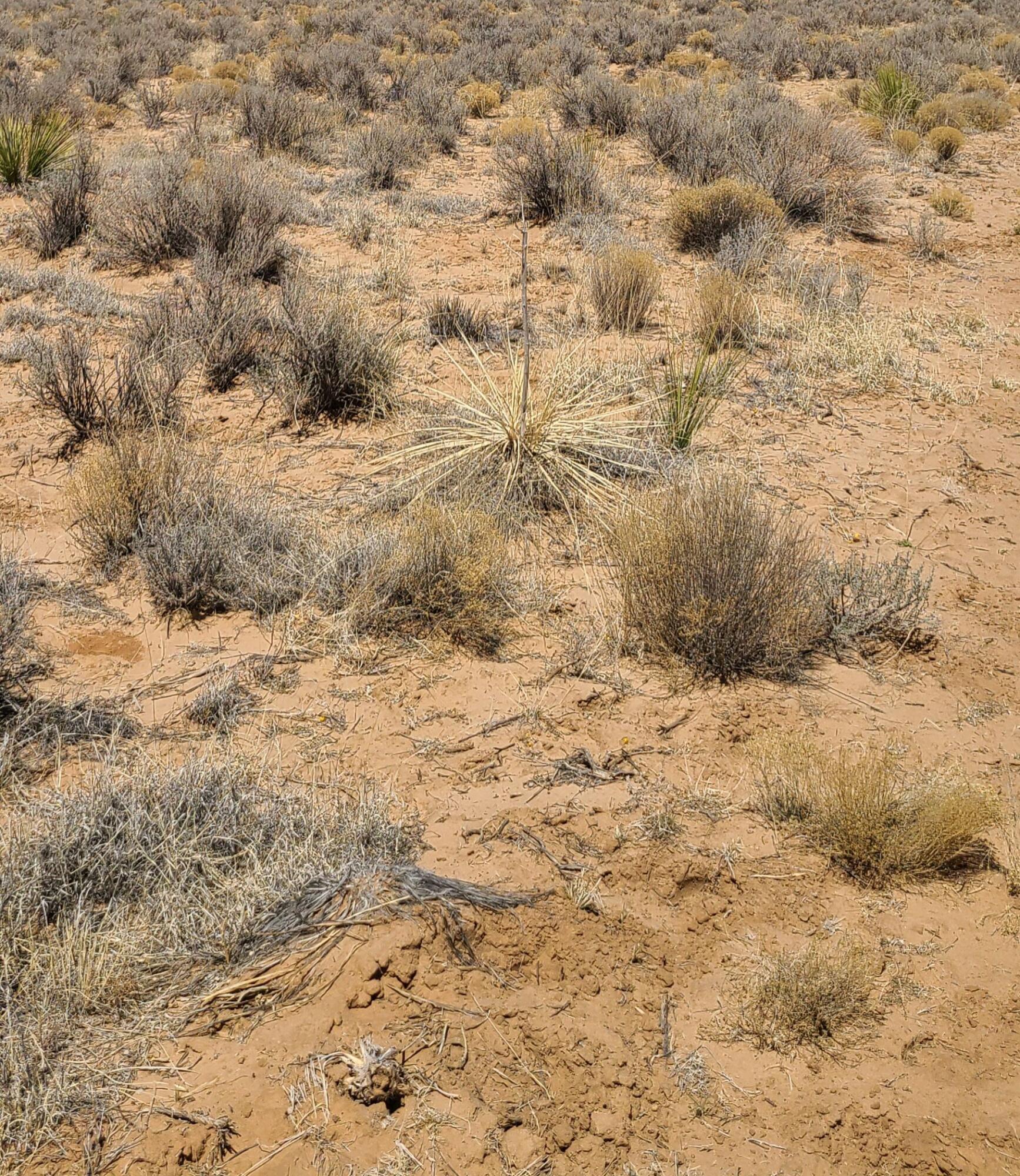 Tbd Rio Del Oro Unit 12, Belen, New Mexico image 1