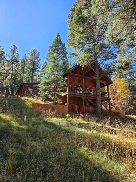 Homes For Sale - 164 Camino Facil<br/> Rociada, NM 87742