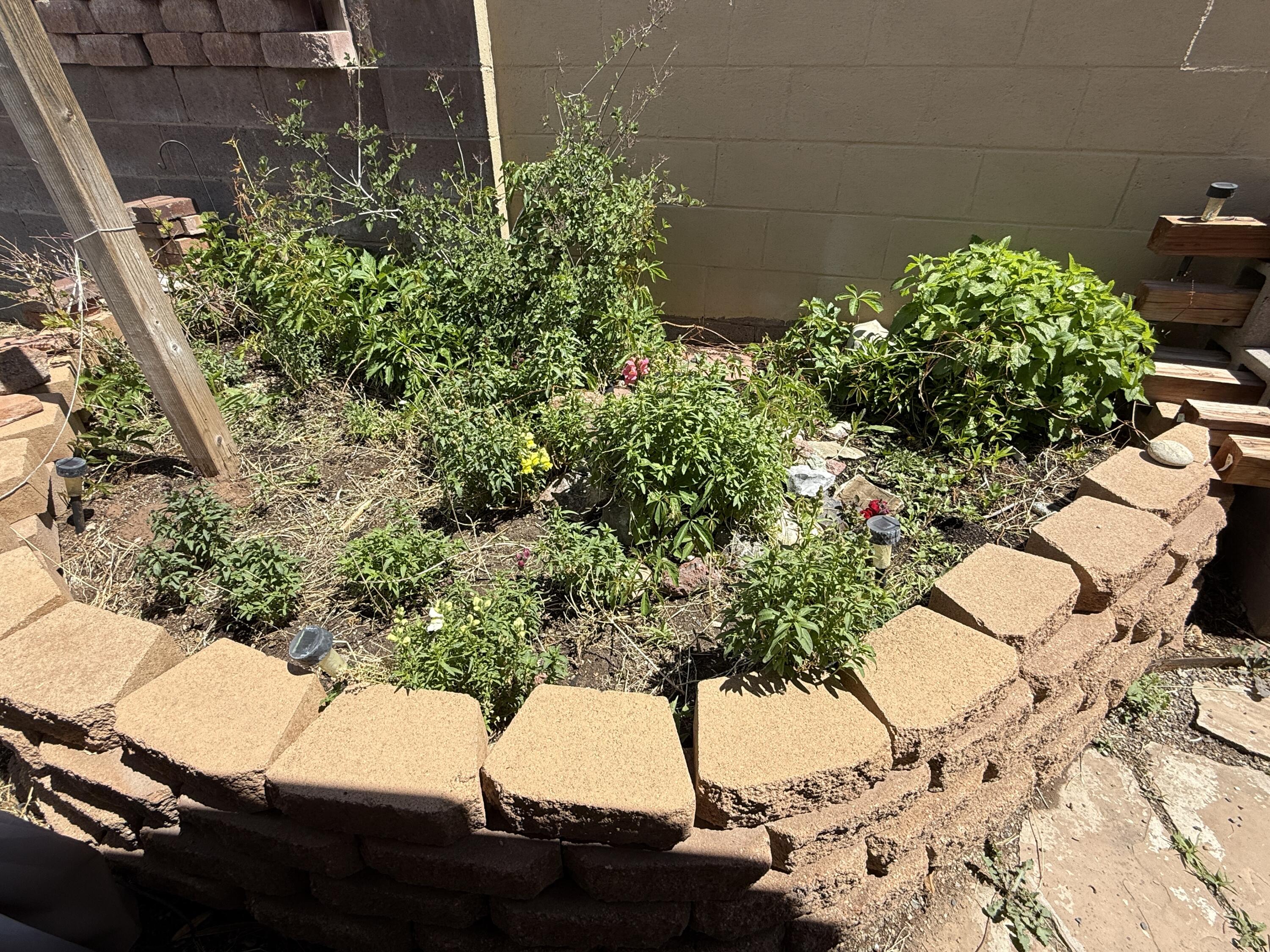 6908 Sedge Avenue, Albuquerque, New Mexico image 49