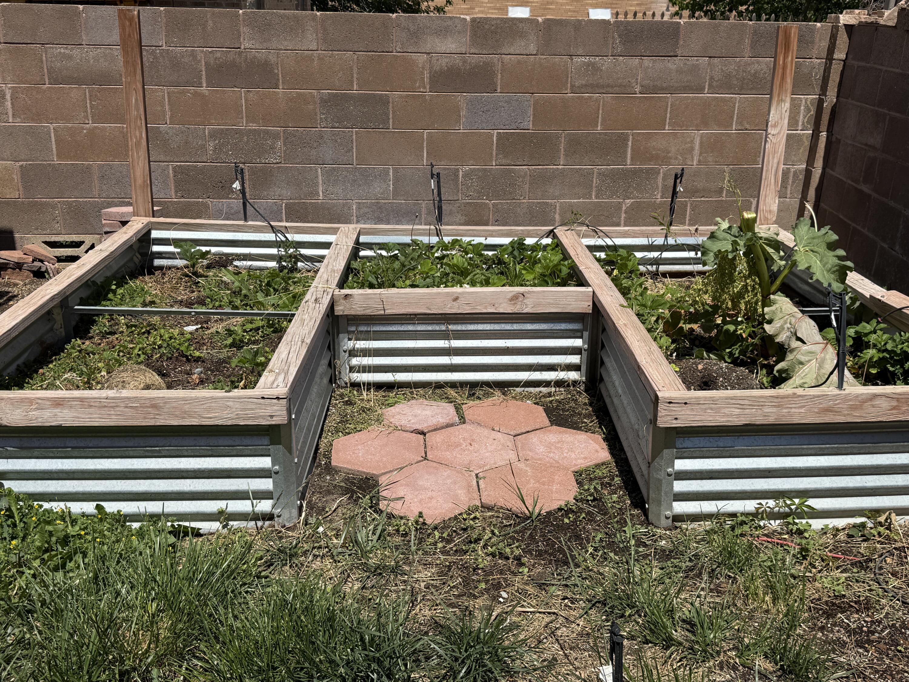 6908 Sedge Avenue, Albuquerque, New Mexico image 46