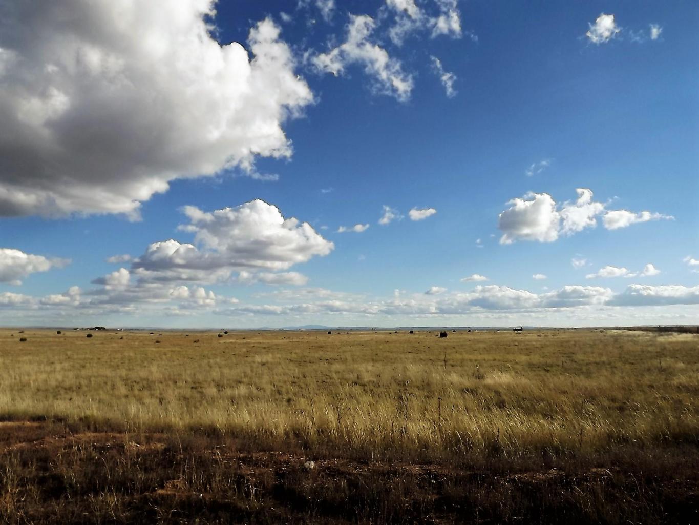 Palomino (lots 22 & 23) Drive, Moriarty, New Mexico image 1