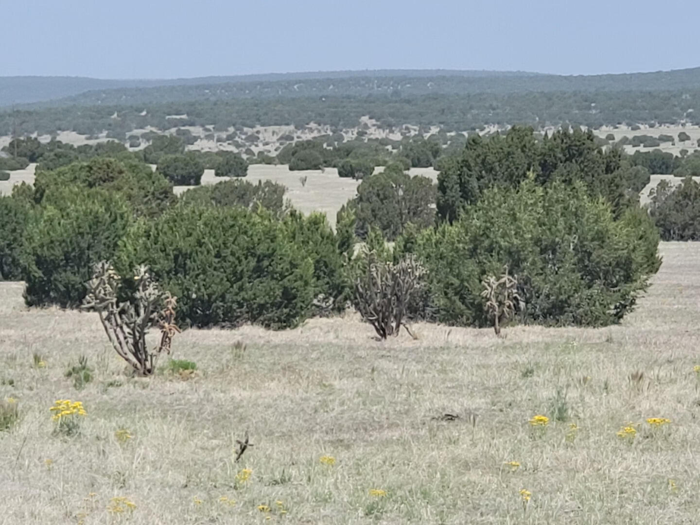 110 Brazos Loop, Estancia, New Mexico image 2
