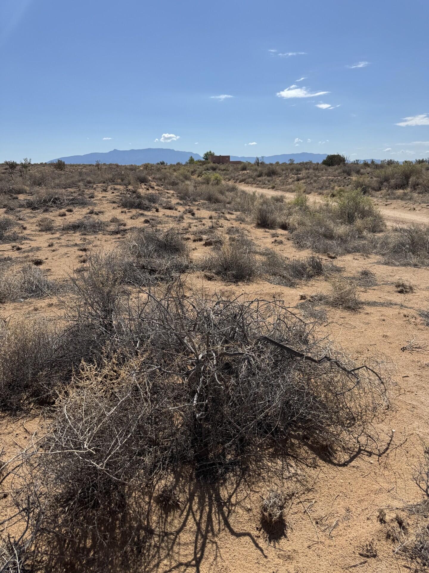 12th Avenue SE Lot 40