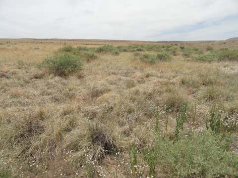 Vacant Land For Sale - Canyon<br/> Laguna, NM 87026