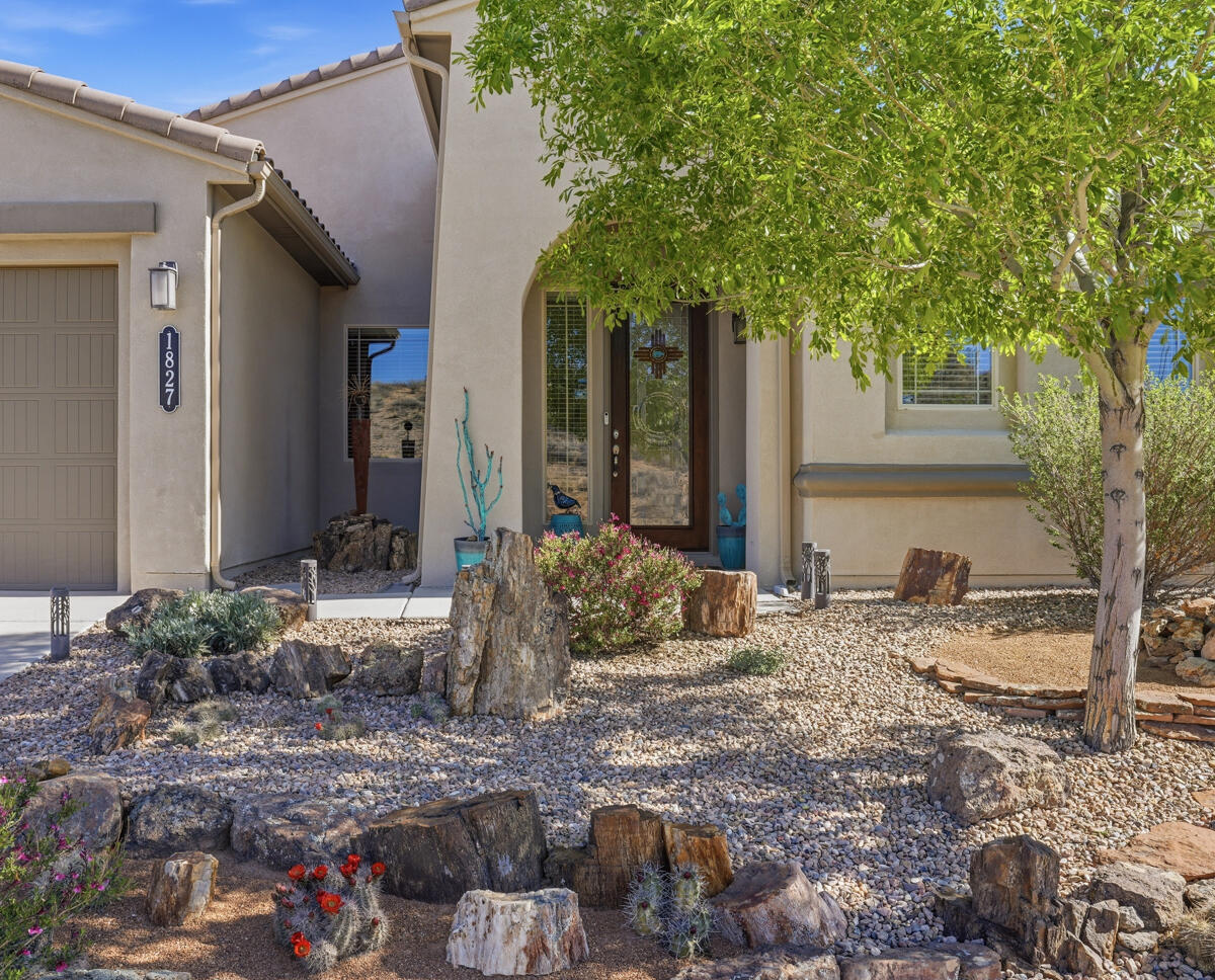 1827 Truchas Peak Trail NE