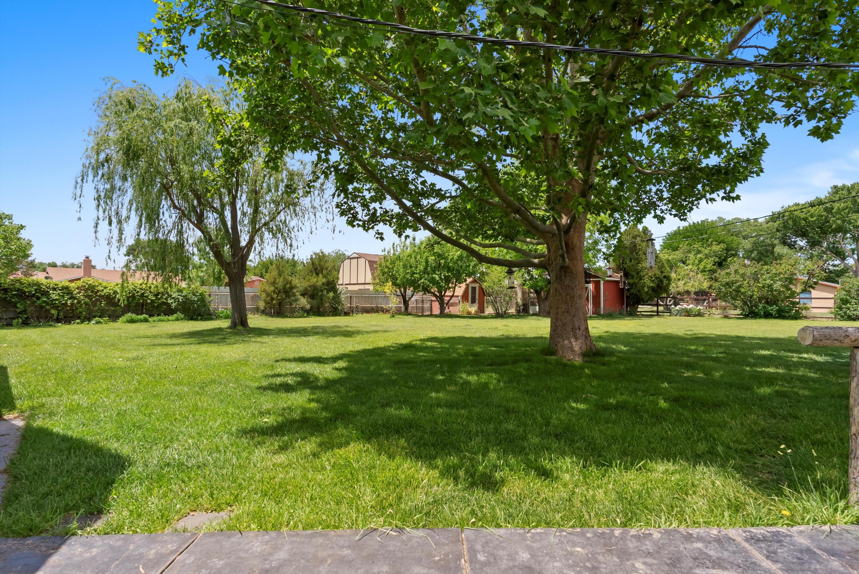 535 La Plata Drive, Bosque Farms, New Mexico image 41