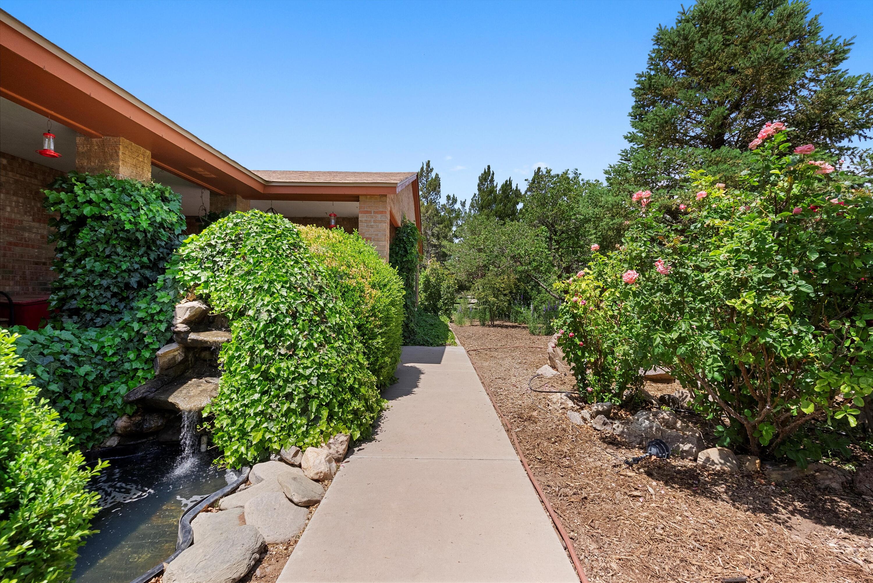 535 La Plata Drive, Bosque Farms, New Mexico image 6