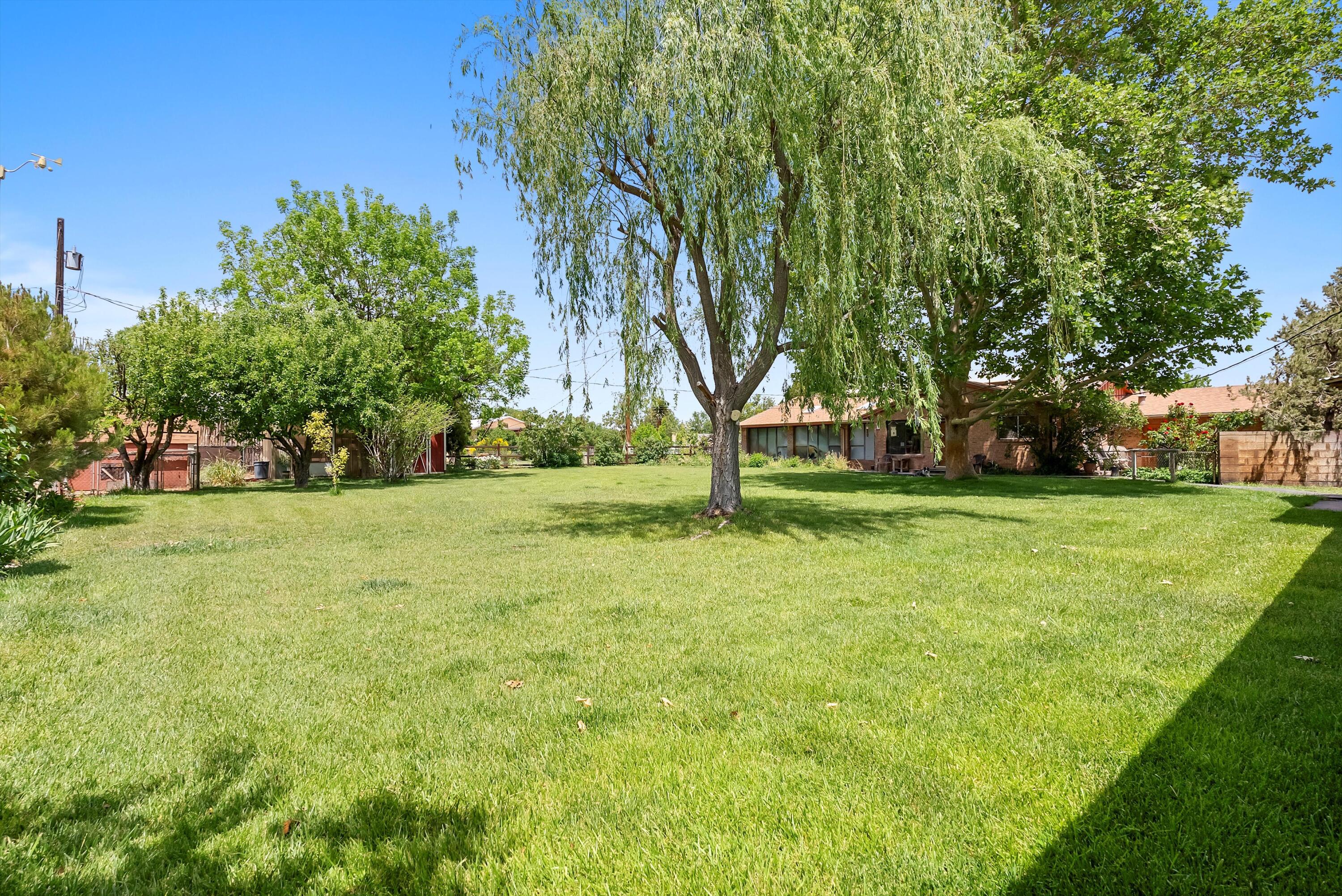 535 La Plata Drive, Bosque Farms, New Mexico image 48