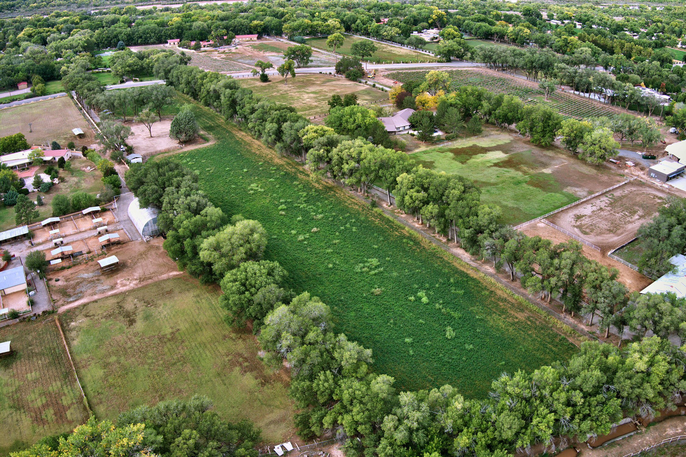 7028 Rio Grande Boulevard, Los Ranchos, New Mexico image 9