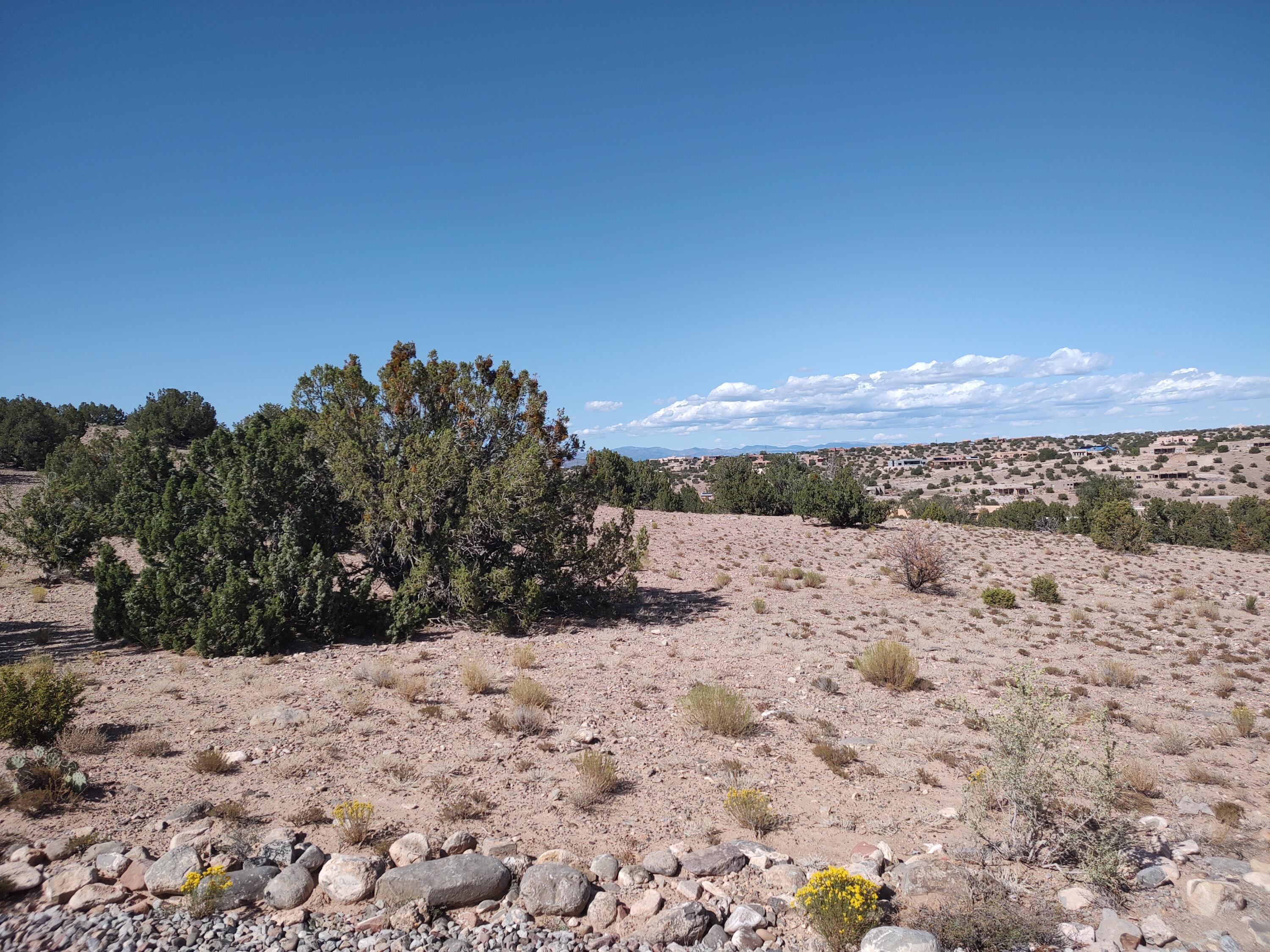 Folsom Point, Placitas, New Mexico image 12