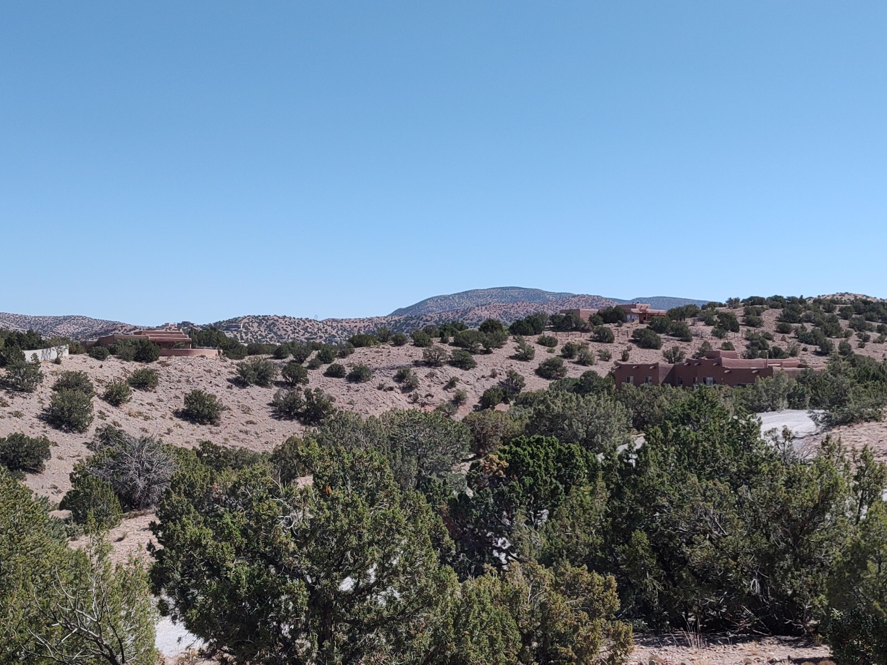 Folsom Point, Placitas, New Mexico image 25